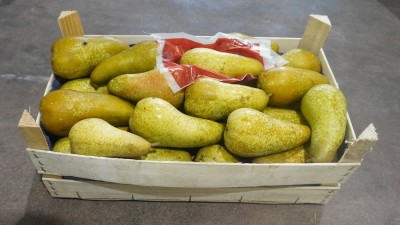 Foto Pere Abate Calibro 60+ Origine Italia Marchio Sattin  1