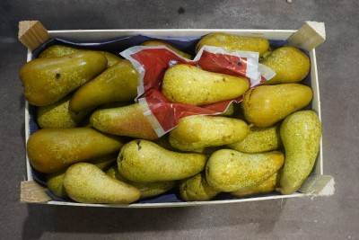 Foto Pere Abate Calibro 60+ Origine Italia Marchio Sattin  3