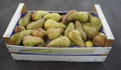 Foto Pere Abate Calibro 65+ Origine Italia marchio CENTRO DISTR. ORT. S.U.R.L. 1