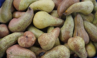 Foto Pere Abate Calibro 65+ Origine Italia marchio CENTRO DISTR. ORT. S.U.R.L. 2