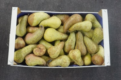 Foto Pere Abate Calibro 65+ Origine Italia marchio CENTRO DISTR. ORT. S.U.R.L. 3