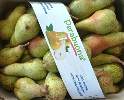 Foto Pere Varietà Fetel Origine Italia Marchio Luciano Fruit 2