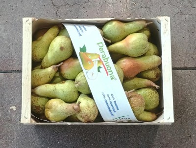 Foto Pere Varietà Fetel Origine Italia Marchio Luciano Fruit 3