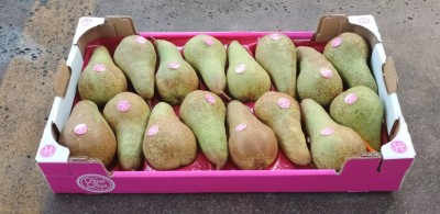 Foto Pere Abate Calibro 16 Origine Italia Marchio Fruit Love  1