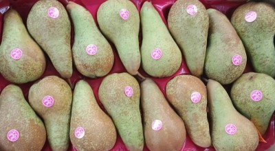 Foto Pere Abate Calibro 16 Origine Italia Marchio Fruit Love  2