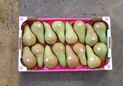 Foto Pere Abate Calibro 16 Origine Italia Marchio Fruit Love  3