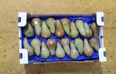 Foto Pere Abate Calibro 20 Lavorazione in Doppop Strato Origine Italia Marchio Sattin               3