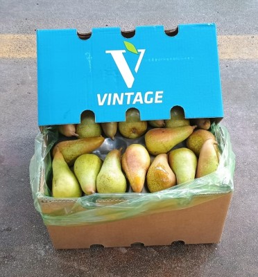 Foto Pere Abate Calibro 70 Origine Sud Africa Marchio Vintage       1