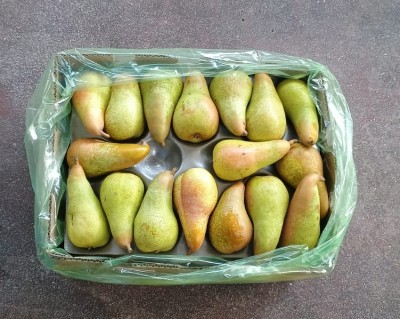 Foto Pere Abate Calibro 70 Origine Sud Africa Marchio Vintage       3