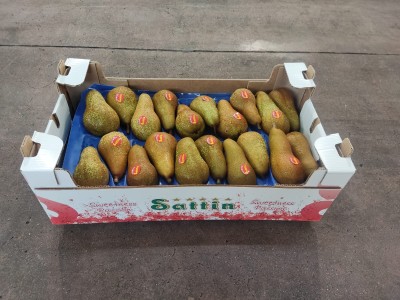 Foto Pere Abate Calibro 20 Lavorazione in Doppio Strato Origine Italia Marchio Sattin 1