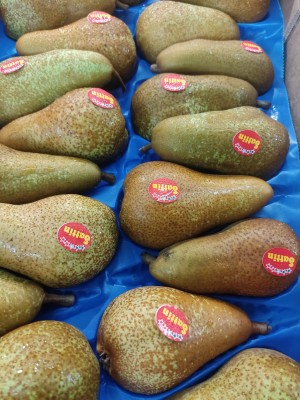 Foto Pere Abate Calibro 20 Lavorazione in Doppio Strato Origine Italia Marchio Sattin 2