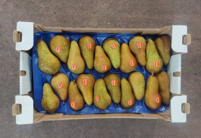 Foto Pere Abate Calibro 20 Lavorazione in Doppio Strato Origine Italia Marchio Sattin 3