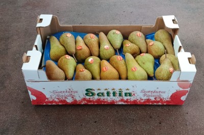 Foto Pere Abate Calibro 20 Lavorazione In Cartone In Doppio Strato Marchio Sattin  1