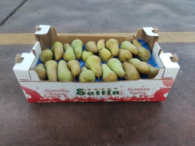 Foto Pere Abate Calibro 22 Lavorazione in Doppio Strato  Origine Italia Marchio Sattin       1