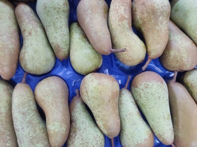 Foto Pere Abate Calibro 22 Lavorazione in Doppio Strato  Origine Italia Marchio Sattin       2