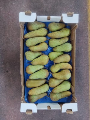 Foto Pere Abate Calibro 22 Lavorazione in Doppio Strato  Origine Italia Marchio Sattin       3