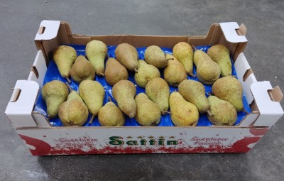 Foto Pere Abate Calibro 22 Origine Italia Marchio Sattin 1