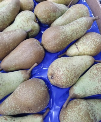 Foto Pere Abate Calibro 22 Origine Italia Marchio Sattin 2