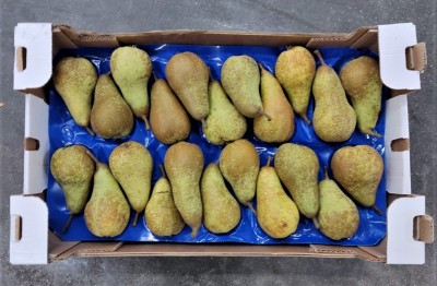 Foto Pere Abate Calibro 22 Origine Italia Marchio Sattin 3