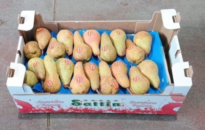 Foto Pere Abate Calibro 65+ Lavorazione In Doppio Strato Marchio Sattin         1