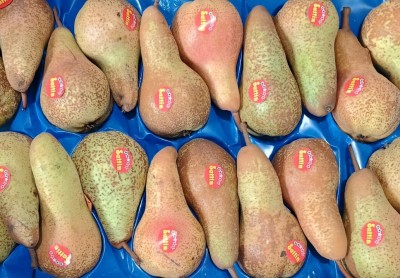 Foto Pere Abate Calibro 65+ Lavorazione In Doppio Strato Marchio Sattin         2