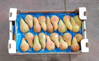 Foto Pere Abate Calibro 65+ Lavorazione In Doppio Strato Marchio Sattin         3