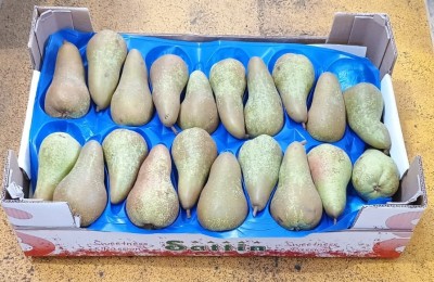 Foto Pere Abate Calibro 70/75 Origine Chile Marchio Sattin  1