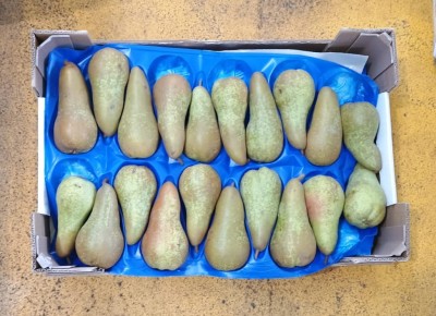 Foto Pere Abate Calibro 70/75 Origine Chile Marchio Sattin  3