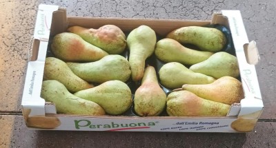 Foto Pere Abate Varietà Fetel Origine Italia Marchio Perabuona  1