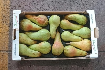 Foto Pere Abate Varietà Fetel Origine Italia Marchio Perabuona  3