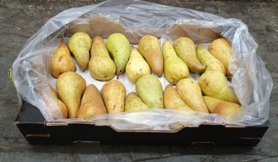 Foto Pere Abate Calibro 20 Origine Sud Africa Marchio Cartone Nero           1