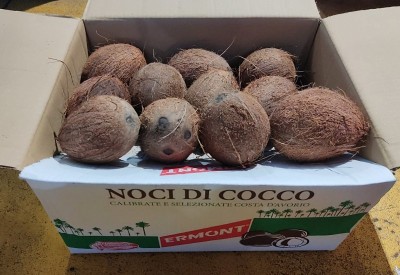 Foto Cocco Fresco Calibro 18 Origine Costa D'avorio Marchio Ermont  1