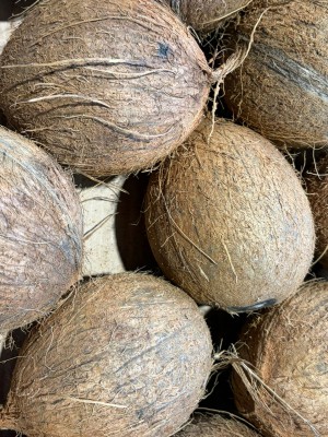 Foto Noci di Cocco Origine Indonesia Marchio Coconut 2