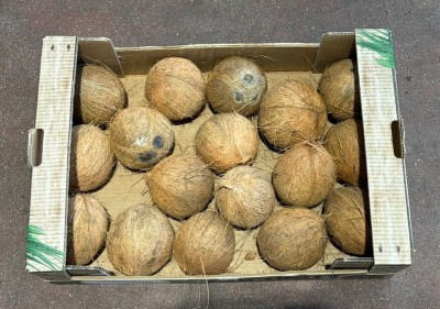 Foto Noci di Cocco Origine Indonesia Marchio Coconut 3