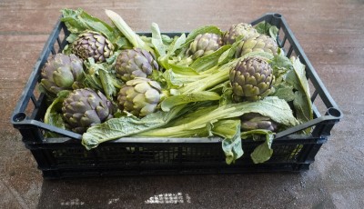 Foto Carciofi Life Calibro 20 Origine Italia Marchio Mancosu 1