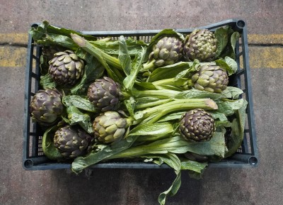 Foto Carciofi Life Calibro 20 Origine Italia Marchio Mancosu 3