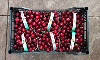 Foto Ciliegie Ferrovia Origine Italia Marchio Pirozzi     3
