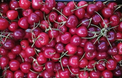 Foto Ciliegie Varietà Ferrovia Origine Italia Marchio Mondial Fruit  2
