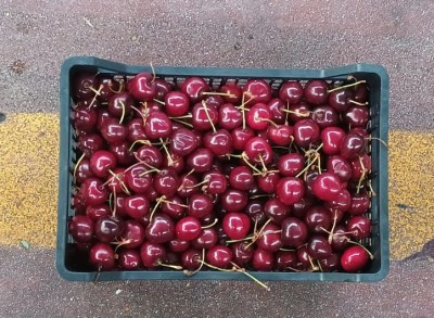 Foto Ciliegie Varietà Duroni Origine Italia Marchio Mondial Fruit 3