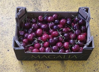 Foto Ciliegie Varietà Prisco Calibro 28+ Origine Spagna Marchio Magalia  1
