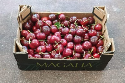 Foto Ciliegie Varietà Frisco Calibro 30+ Origine Spagna Marchio Magalia 1