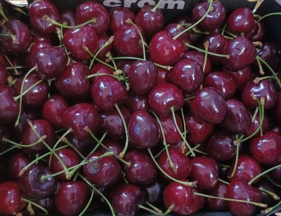 Foto Ciliegie Varietà Ferrovia Calibro 32+ Origine Grecia Marcghio Crom 2