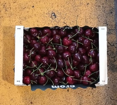 Foto Ciliegie Varietà Ferrovia Calibro 32+ Origine Grecia Marcghio Crom 3