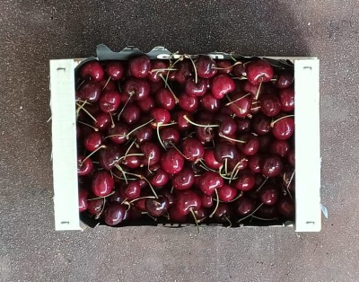 Foto Ciliegie Varietà Skeena Calibro 30+ Origine Grecia Marchio Crom      3