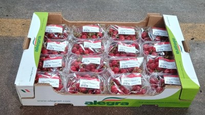 Foto Ciliegie Confezionate Varietà Bigarreau Confezione Da 16 Cestini Da 250 gr Origine Italia Marchio Alegra   1