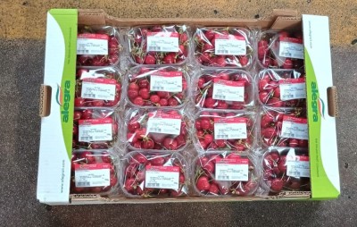 Foto Ciliegie Confezionate Varietà Bigarreau Confezione Da 16 Cestini Da 250 gr Origine Italia Marchio Alegra   3