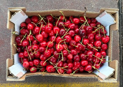Foto Ciliegie Varietà Bigarreu Calibro 22+ Origine Spagna Marchio Cerezas 3