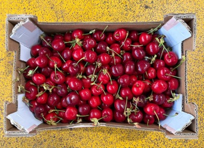 Foto Ciliegie Varietà Bigarreu Calibro 26+ Origine Spagna Marchio Campo de Tierra 3