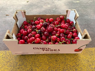 Foto Ciliegie Varietà Bigarreu Calibro 24+ Origine Spagna Marchio Cerezas    1