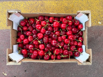 Foto Ciliegie Varietà Bigarreu Calibro 24+ Origine Spagna Marchio Cerezas    3